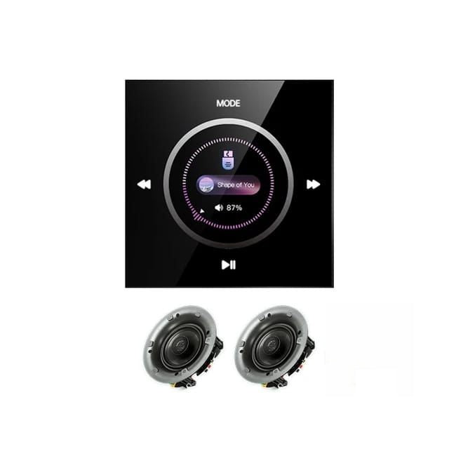 In Wall Amplifier-Stream audio